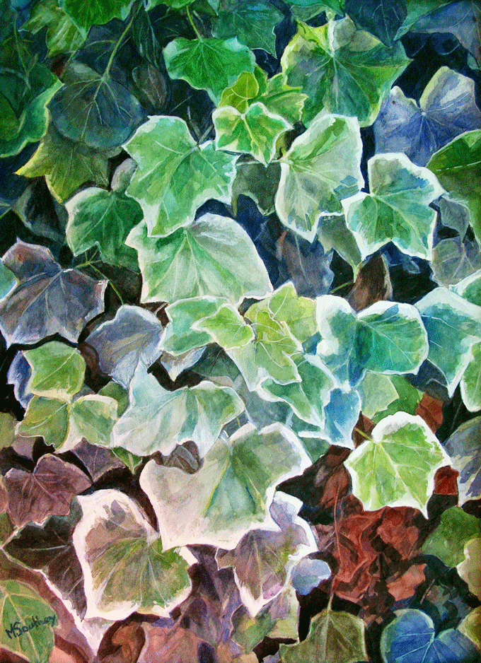 variegated-ivy.gif